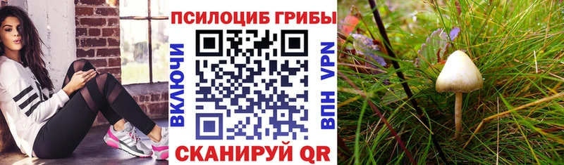 Купить закладки  Сатка  Галлюциногенные грибы ЛСД 
